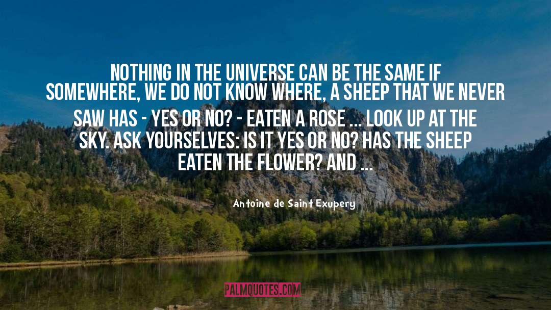 Monai Flower quotes by Antoine De Saint Exupery