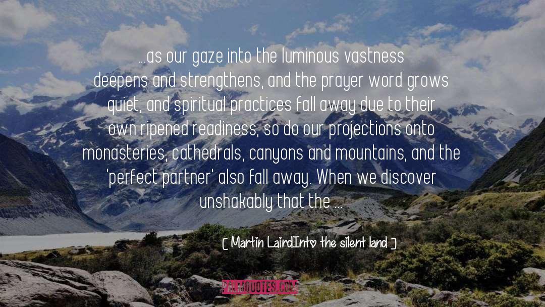 Monastery quotes by Martin LairdInto The Silent Land