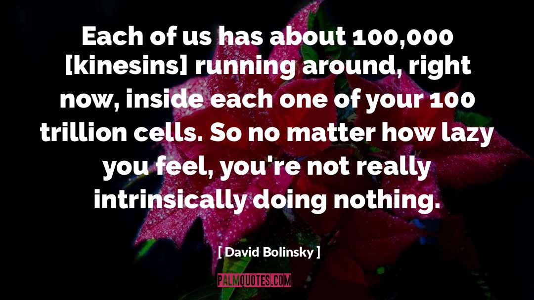 Monday Motivation quotes by David Bolinsky