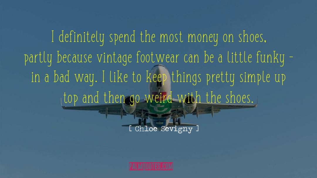 Money And Happiness quotes by Chloe Sevigny