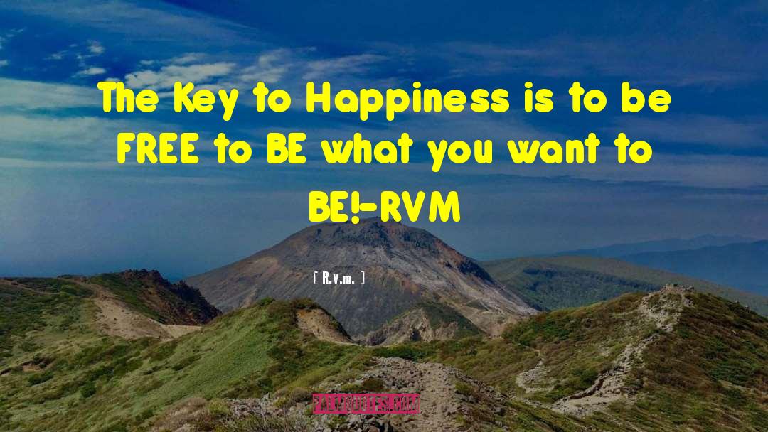 Money Is The Key To Happiness quotes by R.v.m.