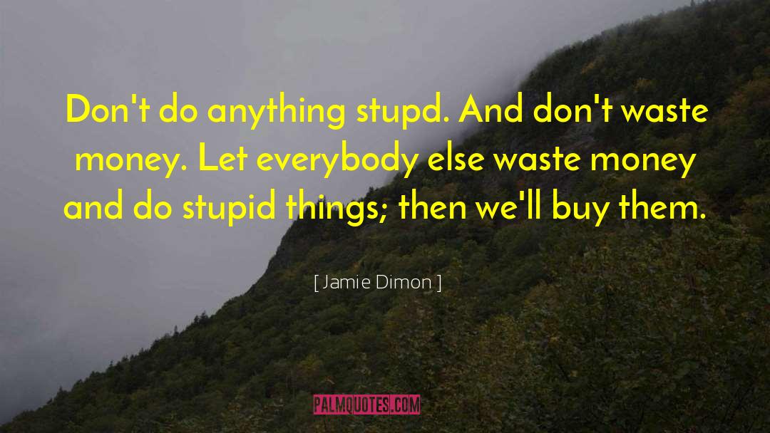 Money Wasted quotes by Jamie Dimon