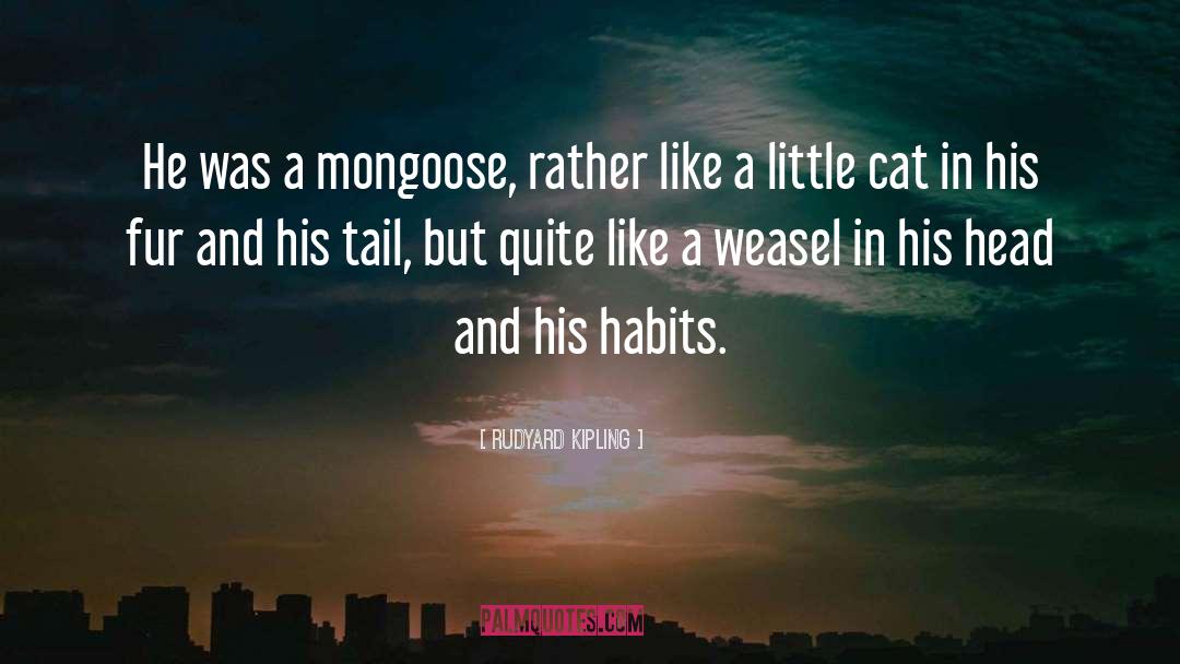 Mongoose quotes by Rudyard Kipling