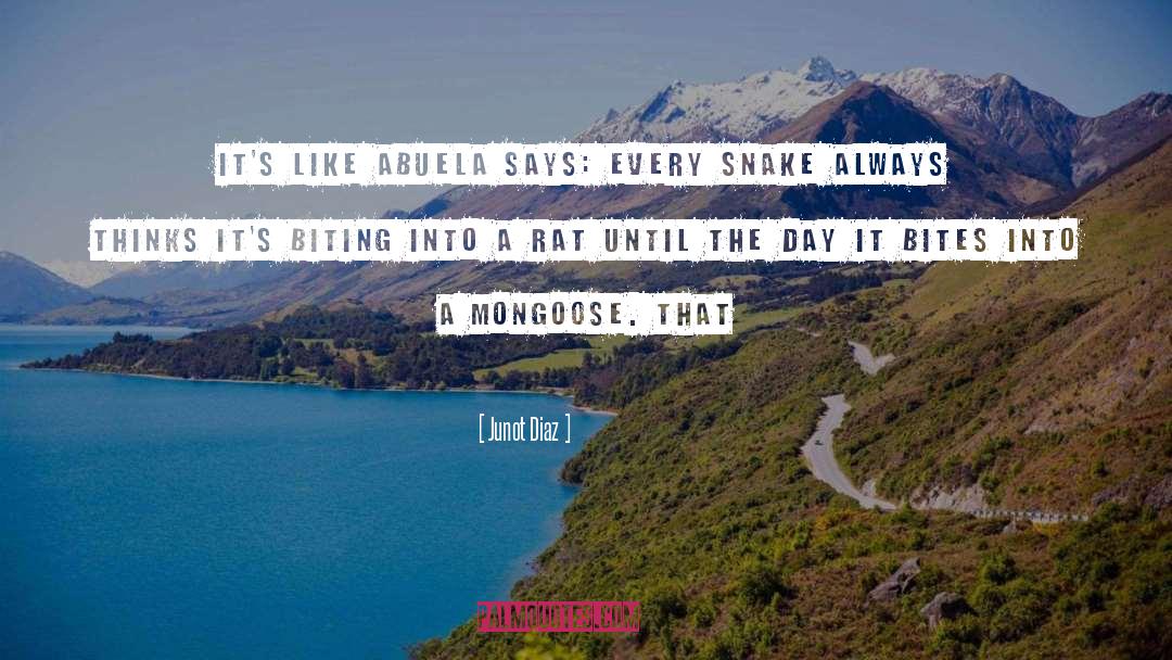 Mongoose quotes by Junot Diaz