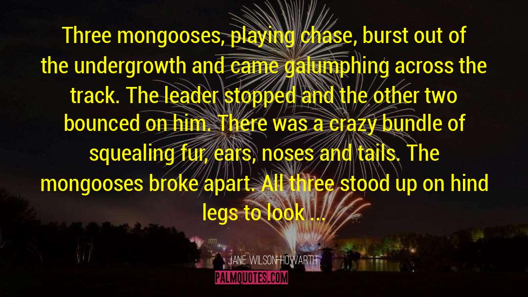 Mongooses quotes by Jane Wilson-Howarth