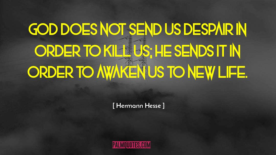 Monica Hesse quotes by Hermann Hesse