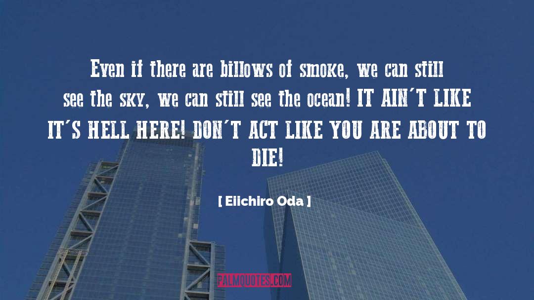 Monkey D Luffy quotes by Eiichiro Oda