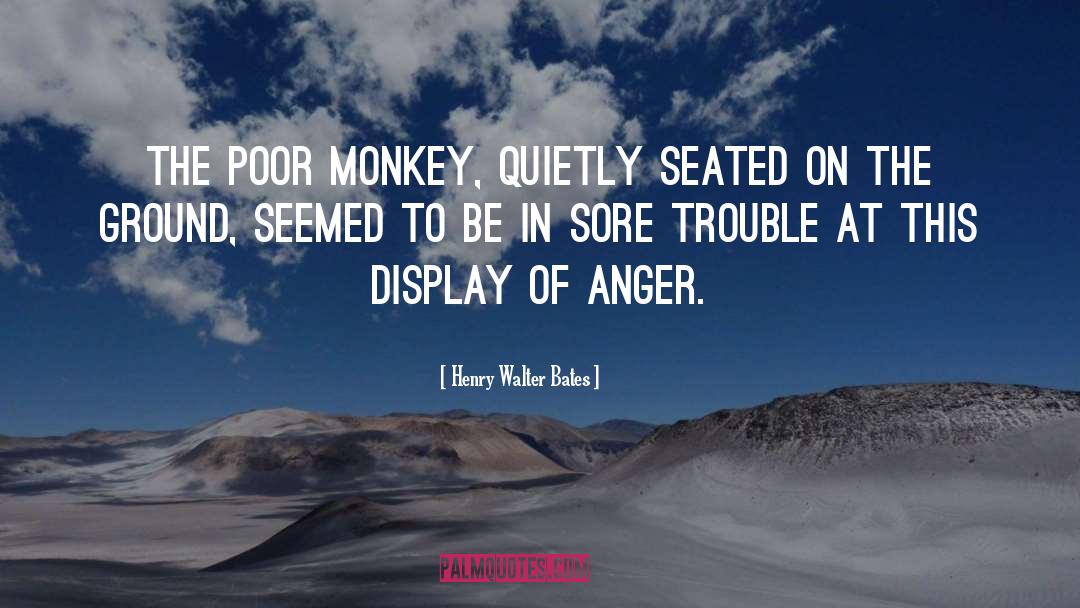 Monkey quotes by Henry Walter Bates