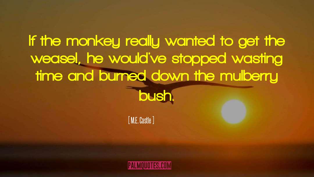 Monkey quotes by M.E. Castle