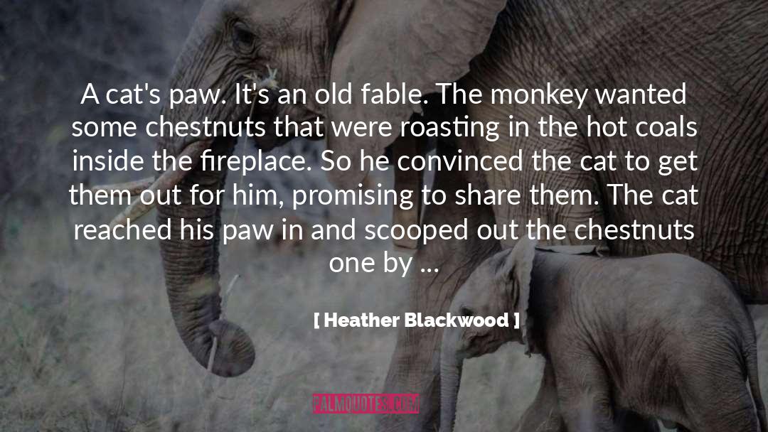 Monkey quotes by Heather Blackwood