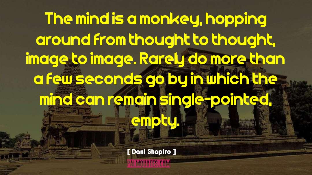 Monkey quotes by Dani Shapiro