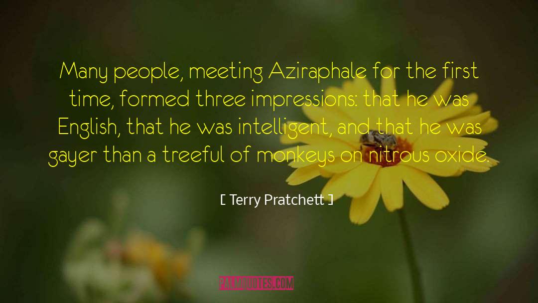 Monkeys quotes by Terry Pratchett