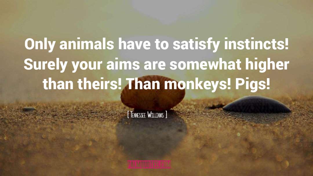 Monkeys quotes by Tennessee Williams