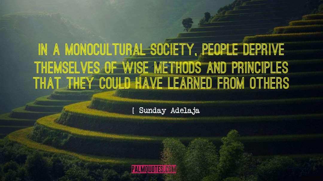 Mono Cultural quotes by Sunday Adelaja