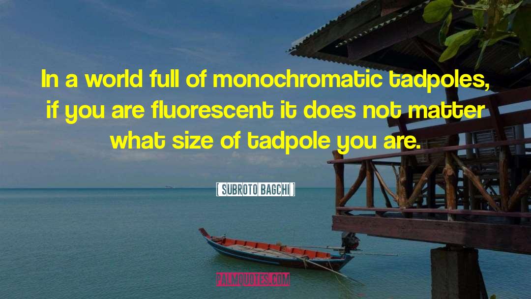 Monochromatic quotes by Subroto Bagchi