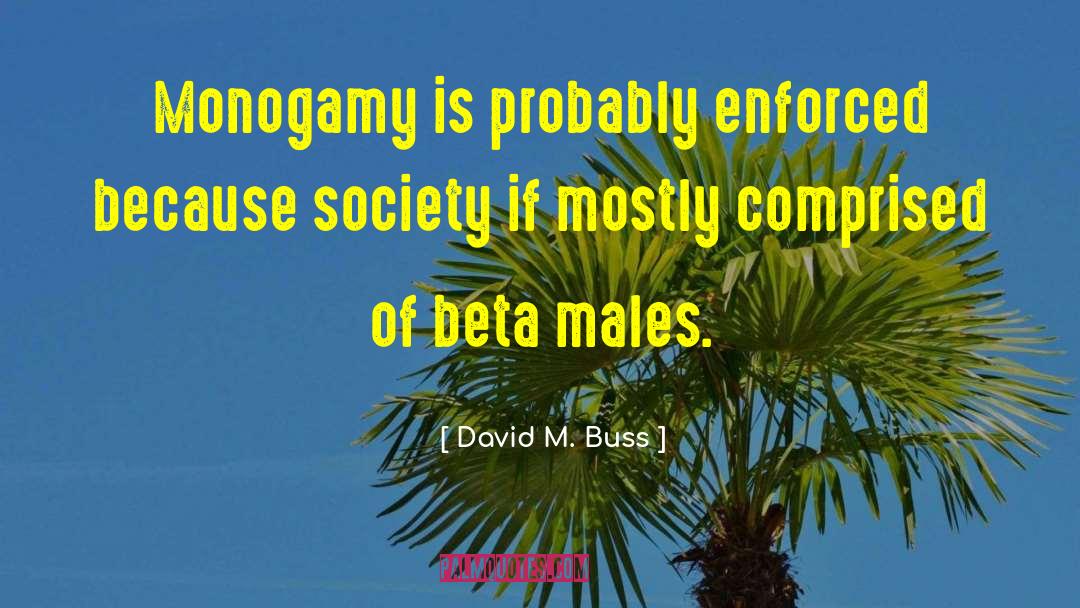 Monogamy quotes by David M. Buss