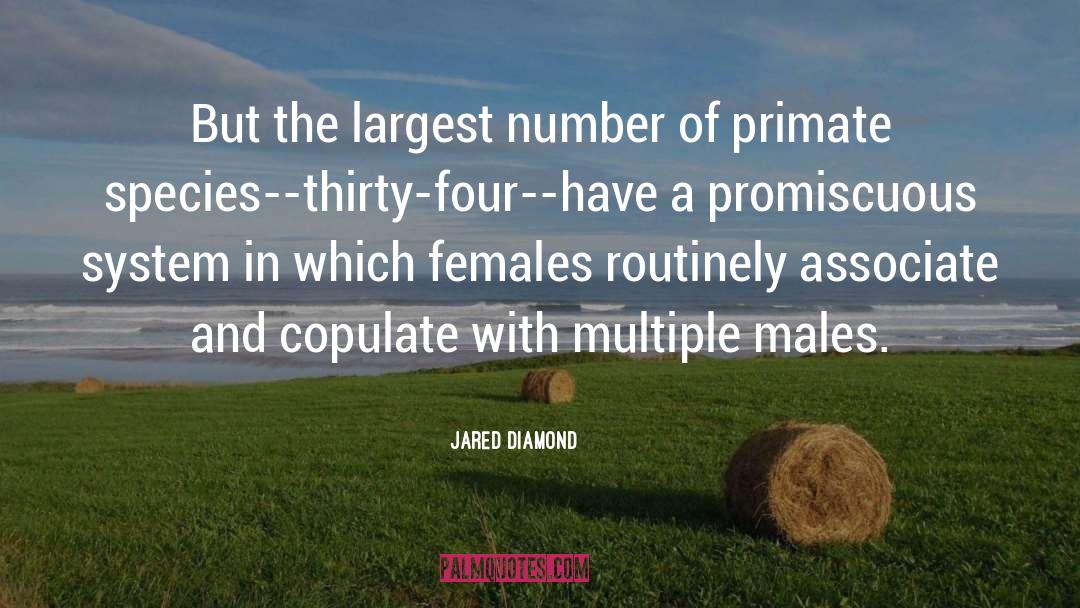 Monogamy quotes by Jared Diamond