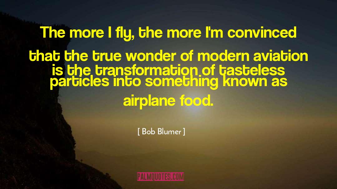 Monoplane Airplane quotes by Bob Blumer