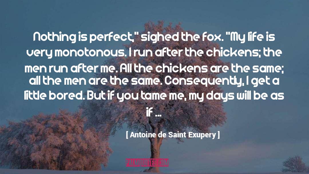 Monotonous quotes by Antoine De Saint Exupery
