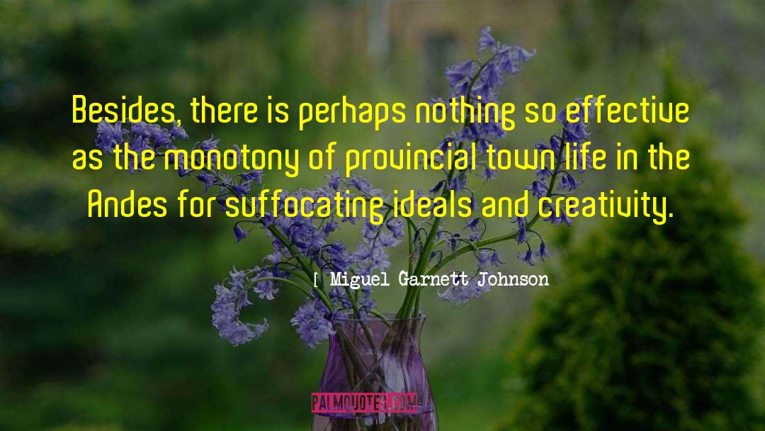 Monotony quotes by Miguel Garnett Johnson