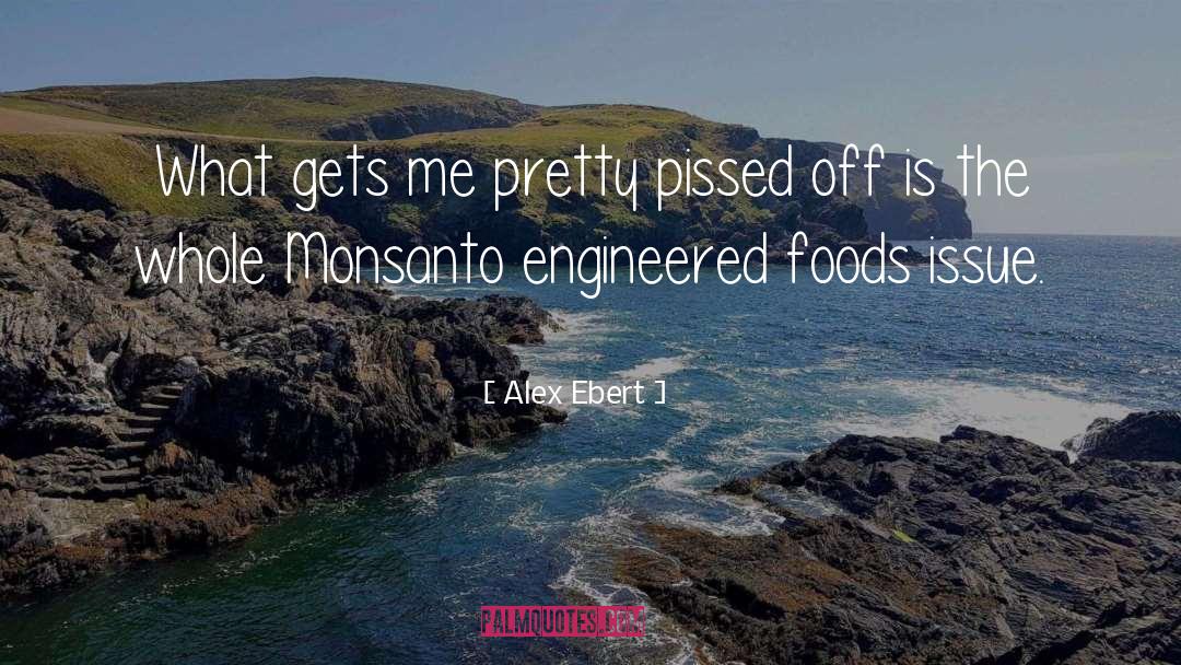 Monsanto Stock Quote quotes by Alex Ebert