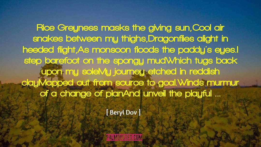 Monsoon quotes by Beryl Dov