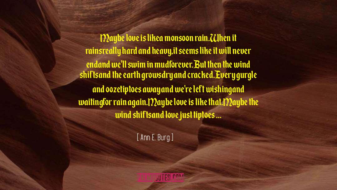 Monsoon quotes by Ann E. Burg