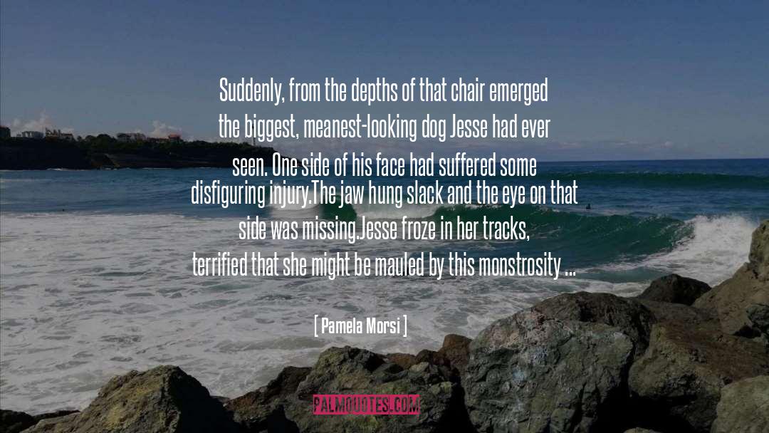 Monstrosity quotes by Pamela Morsi