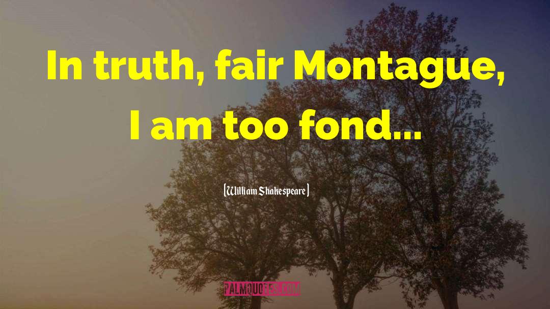 Montague Important quotes by William Shakespeare