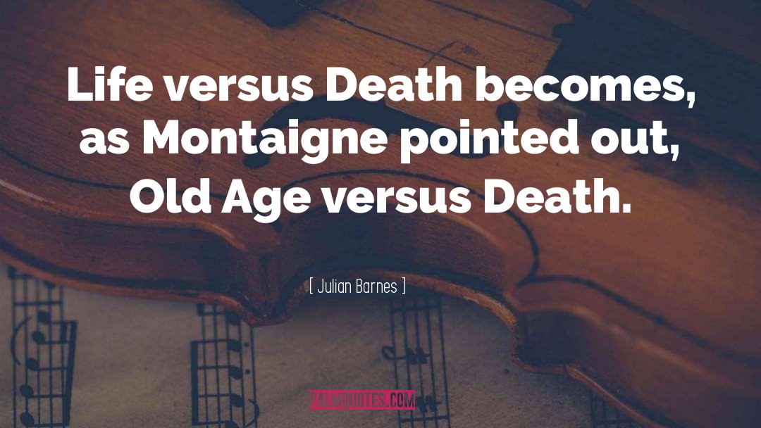 Montaigne quotes by Julian Barnes