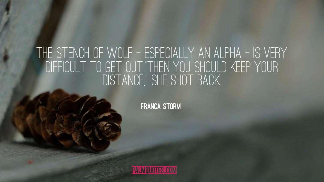 Montana Romance quotes by Franca Storm