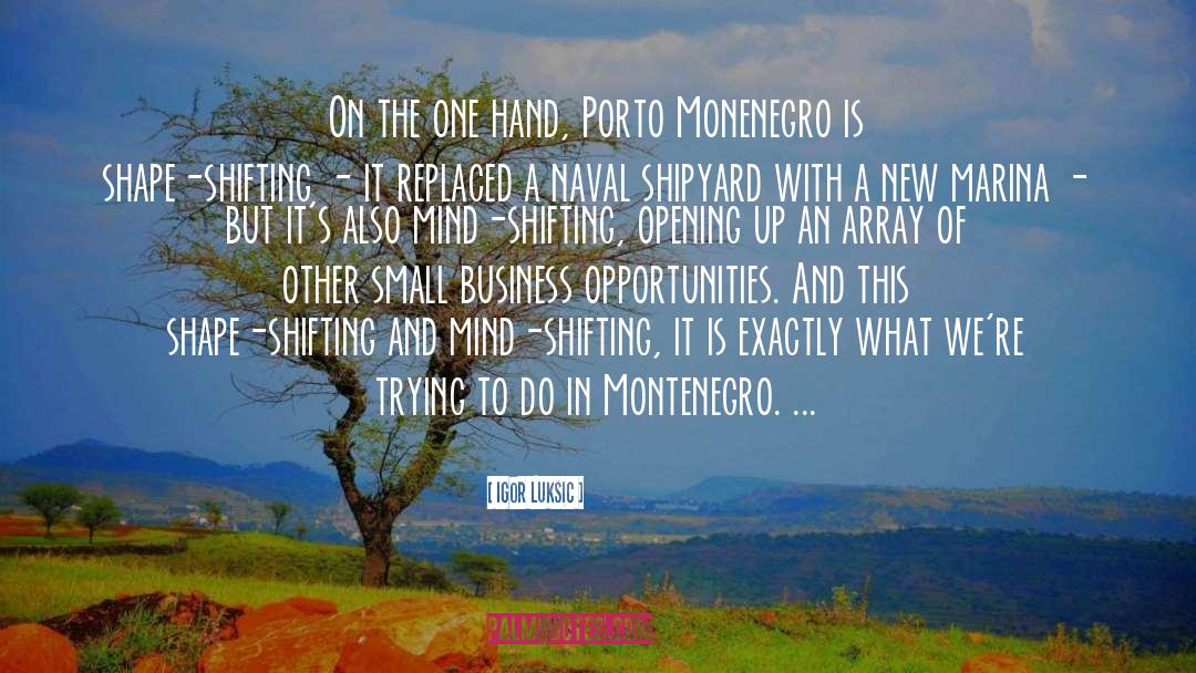 Montenegro Amaro quotes by Igor Luksic