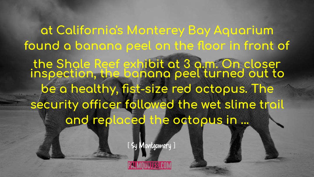 Monterey quotes by Sy Montgomery