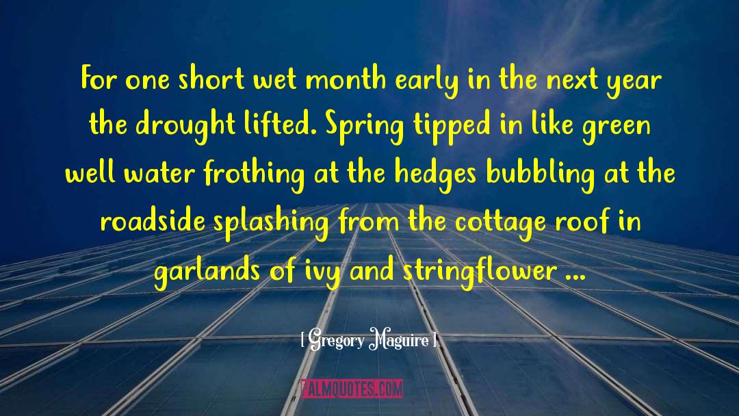 Month Anniversary quotes by Gregory Maguire