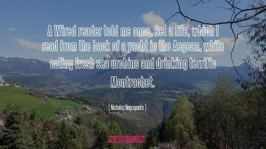 Montrachet quotes by Nicholas Negroponte