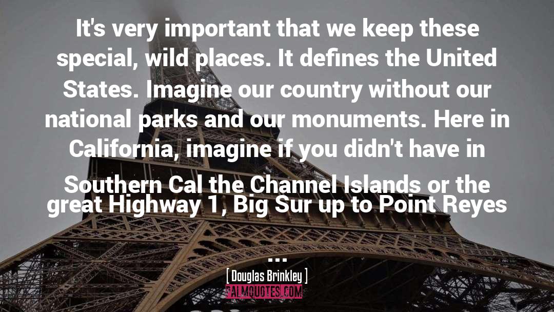 Monuments quotes by Douglas Brinkley