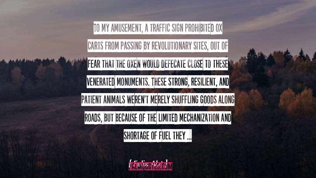 Monuments quotes by Felix Abt