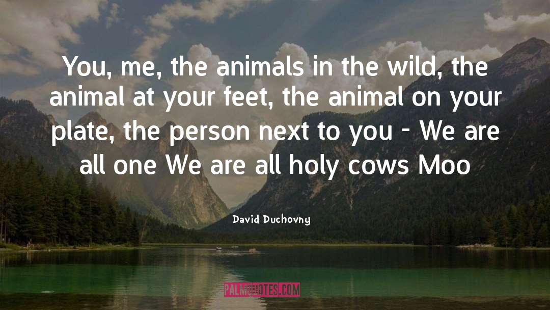 Moo quotes by David Duchovny