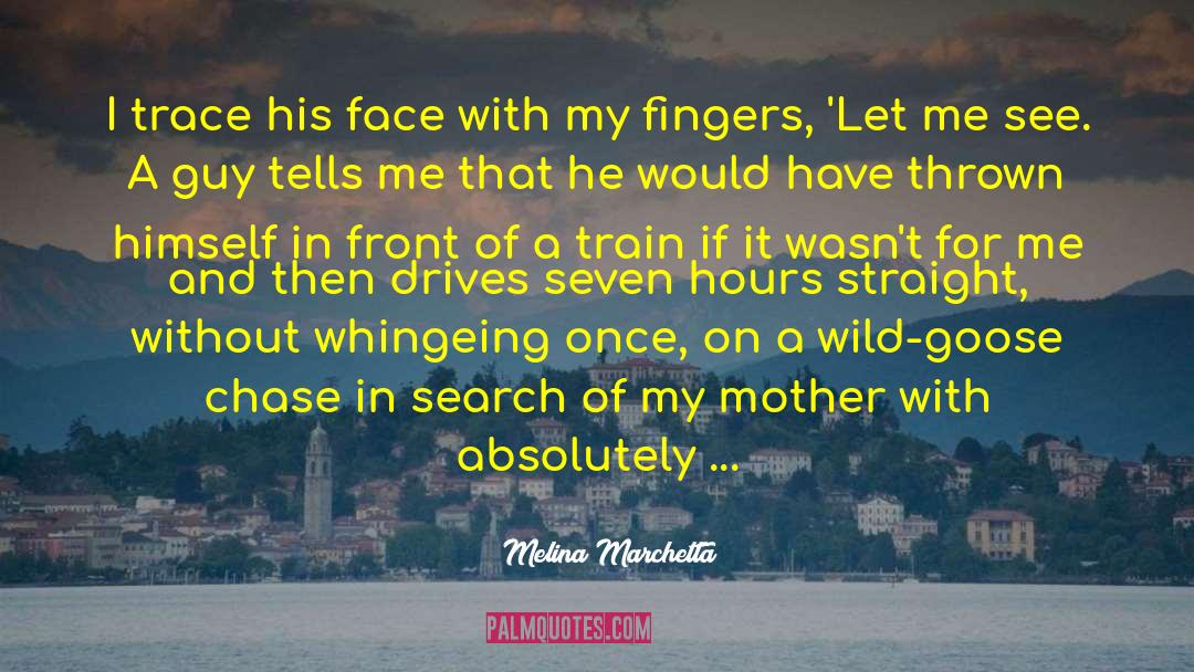 Moodiness quotes by Melina Marchetta