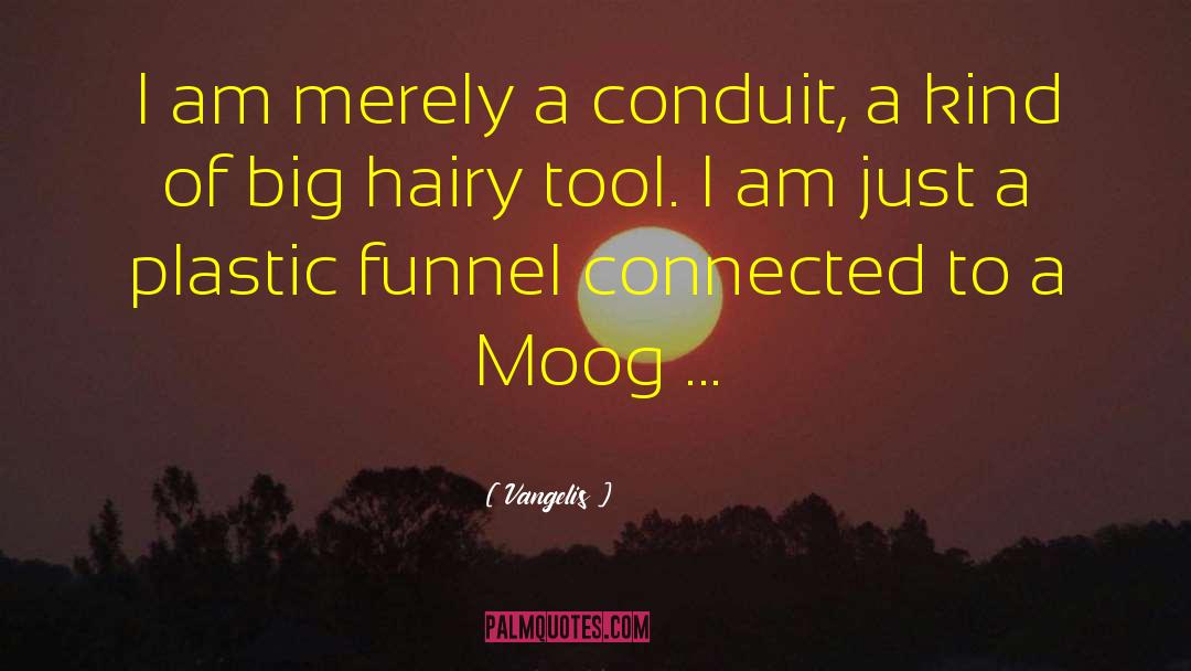 Moog quotes by Vangelis