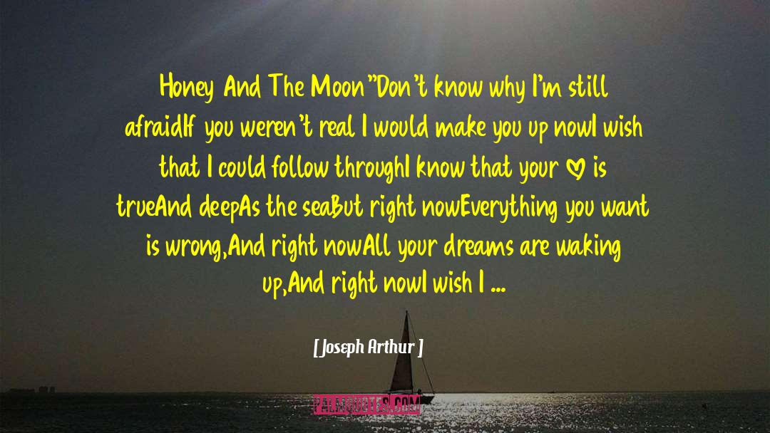 Moon And Stars quotes by Joseph Arthur