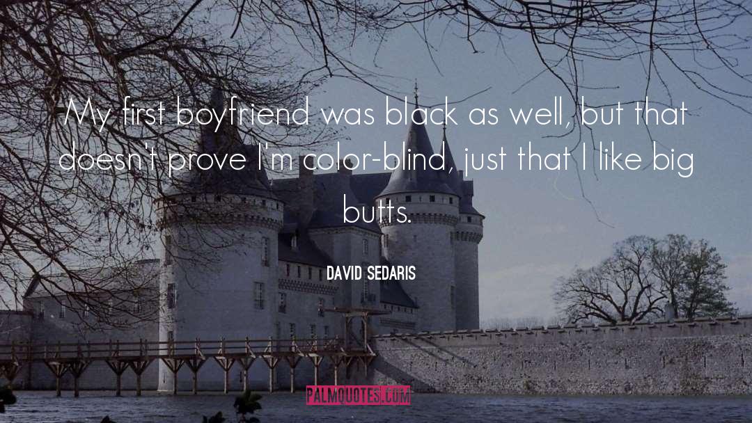 Moon Indigo Color quotes by David Sedaris