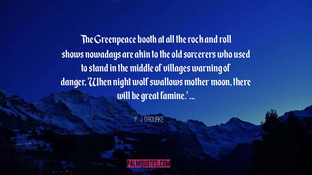 Moon Night quotes by P. J. O'Rourke