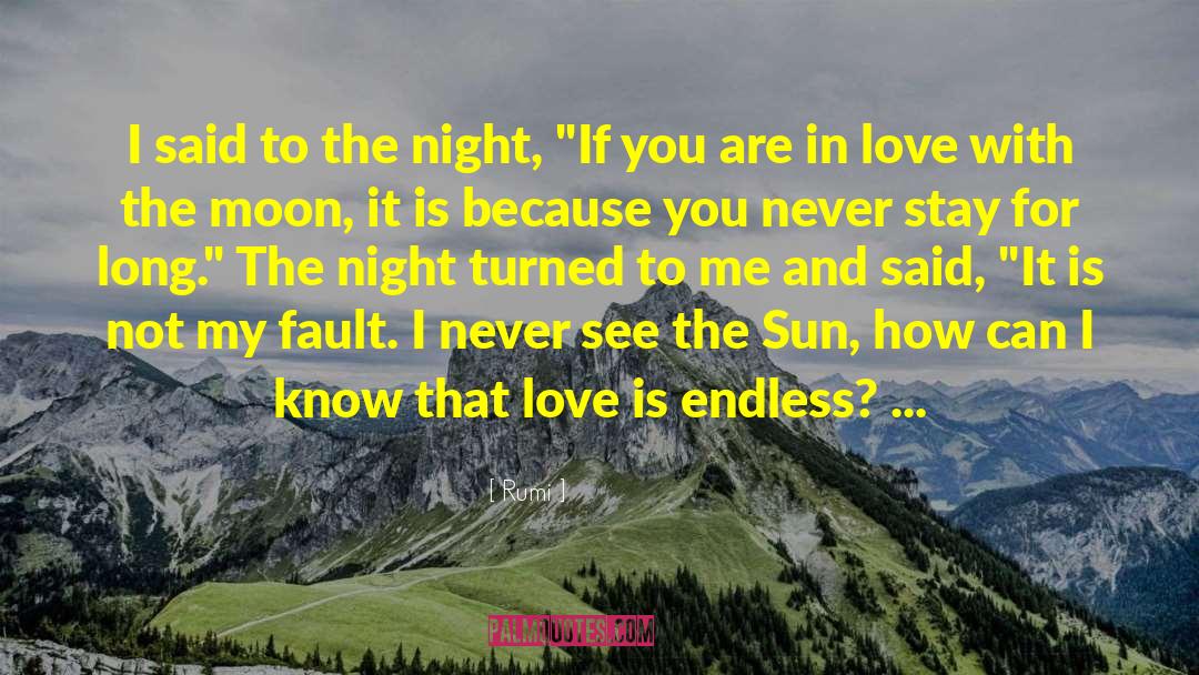 Moon Night quotes by Rumi