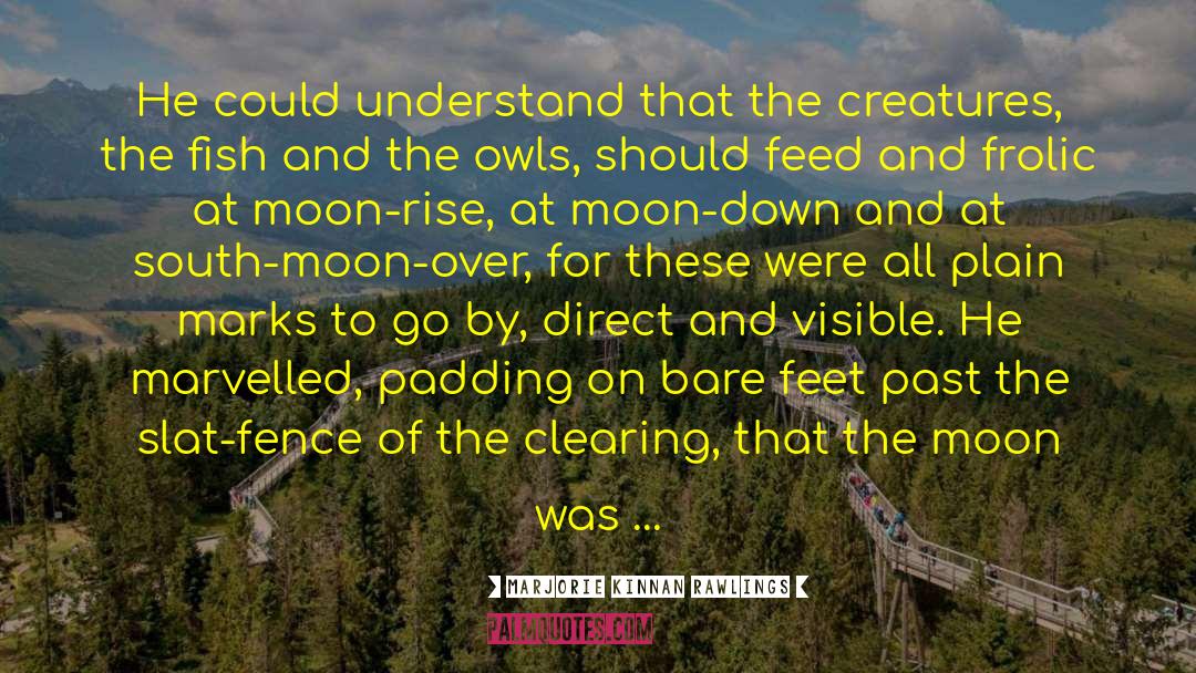 Moon Pic quotes by Marjorie Kinnan Rawlings