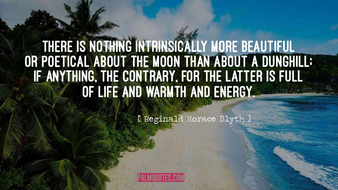 Moon quotes by Reginald Horace Blyth
