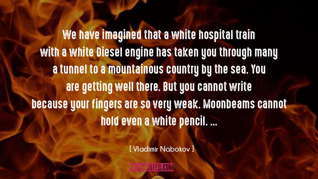 Moonbeams quotes by Vladimir Nabokov