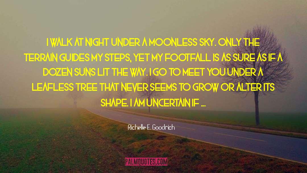 Moonless quotes by Richelle E. Goodrich