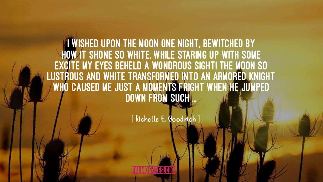 Moonless quotes by Richelle E. Goodrich