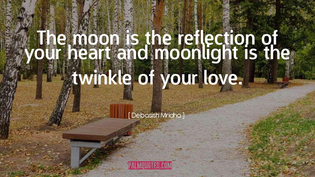 Moonlight Falls quotes by Debasish Mridha